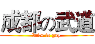 成都の武道 (budo is gay)