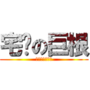 宅撸の巨根 (已经被废了武功)