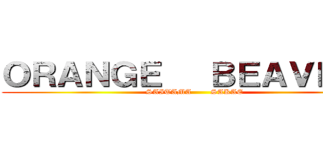 ＯＲＡＮＧＥ   ＢＥＡＶＥＲＳ (SAITAMA       SAKAE)