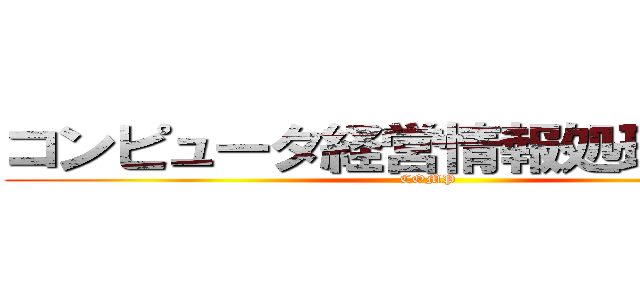 コンピュータ経営情報処理研究部 (COMP)