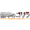 新卒のゴリラ (gorilla in company)