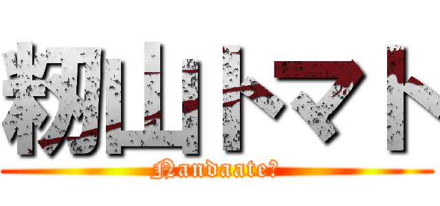 籾山トマト (Nandaate?)