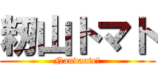 籾山トマト (Nandaate?)