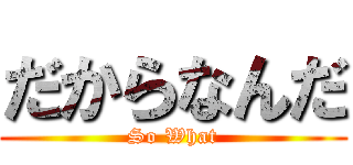 だからなんだ (So What)