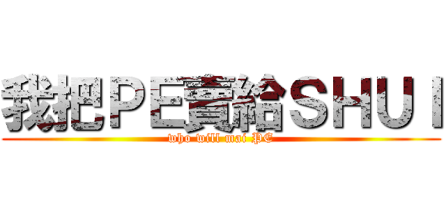 我把ＰＥ賣給ＳＨＵＩ (who will mai PE)