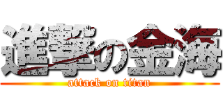 進撃の金海 (attack on titan)