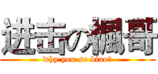 进击の楓哥 (why you so diao?)