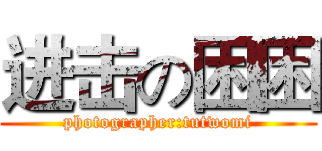 进击の困困 (photographer:tutwomi)