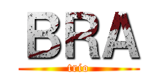ＢＲＡ (trio)