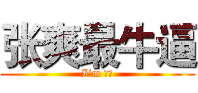 张爽最牛逼 (I‘m 最屌)