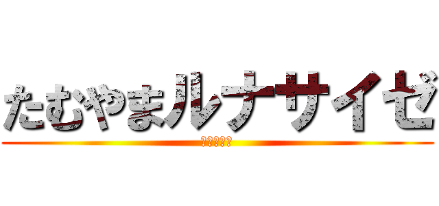 たむやまルナサイゼ (田村の彼女)