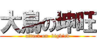 大鳥の坤旺 (attack on  bigbird)