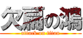 欠扁の鴻 (attack on titan)