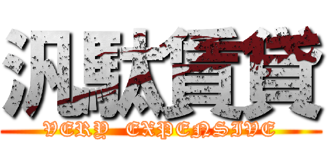 汎駄賃貸 (VERY  EXPENSIVE)