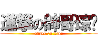 進撃の帥哥琮瑋 (attack on titan)