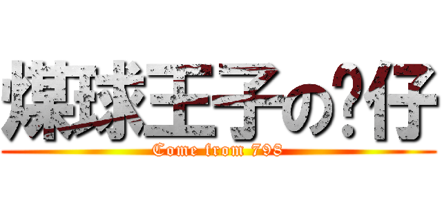 煤球王子の杨仔 (Come from 798)