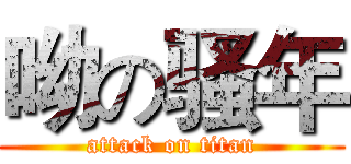 呦の骚年 (attack on titan)