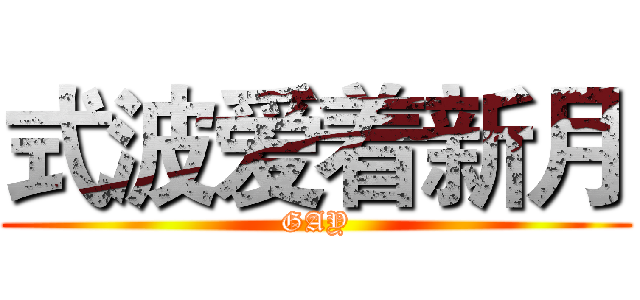 式波爱着新月 (GAY)