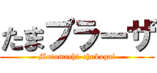 たまプラーザ (Motomachi-chukagai)