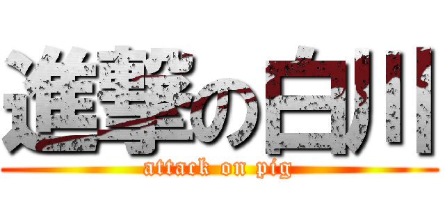 進撃の白川 (attack on pig)