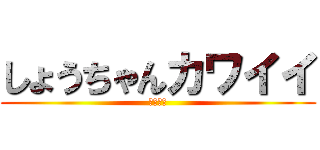 しょうちゃんカワイイ (カワイイ)