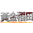 黃金稻田 (attack on titan)