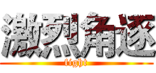 激烈角逐 (fight)