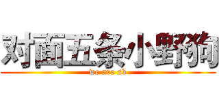 对面五条小野狗 (we are sb)