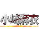 小﨑麻衣 (コザキ マイ)