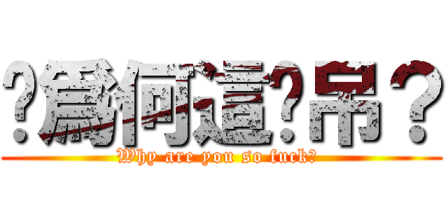 你爲何這麽吊？ (Why are you so fuck？ )