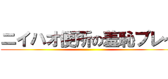 ニイハオ便所の羞恥プレイ ()