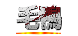 毛鴨 ()