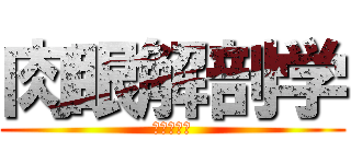 肉眼解剖学 (肉眼解剖学)