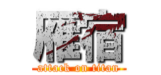 雁宿 (attack on titan)