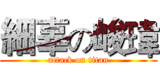細辜の峻瑋 (attack on titan)