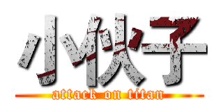 小伙子 (attack on titan)