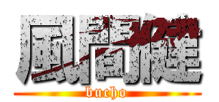 風間健 (bucho)