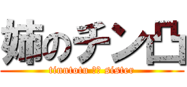姉のチン凸 (tinntotu 𝒐𝒇 sister)