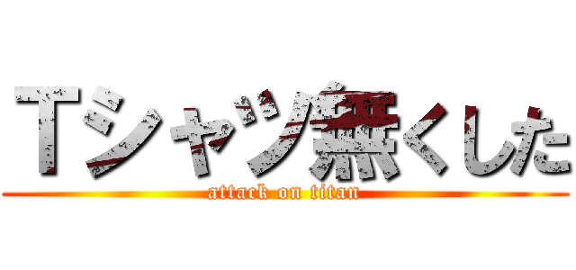 Ｔシャツ無くした (attack on titan)