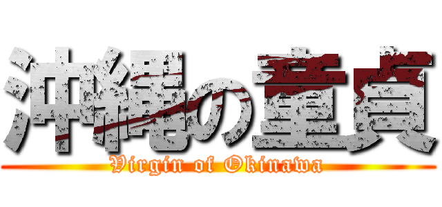 沖縄の童貞 (Virgin of Okinawa)