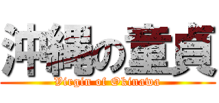沖縄の童貞 (Virgin of Okinawa)