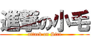 進撃の小毛 (attack on Siri)