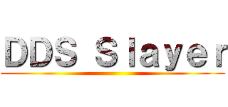 ＤＤＳ Ｓｌａｙｅｒ ()