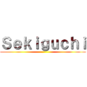 Ｓｅｋｉｇｕｃｈｉ ()