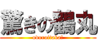驚きの鶴丸 (odoroitaka?)