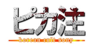ピカ注 (korean cult sony)