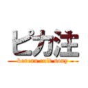 ピカ注 (korean cult sony)