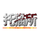 托猫所 (attack on titan)