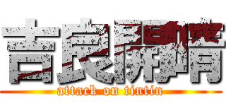 吉良開晴 (attack on tintin)