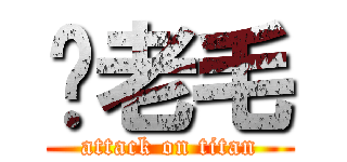 你老毛 (attack on titan)